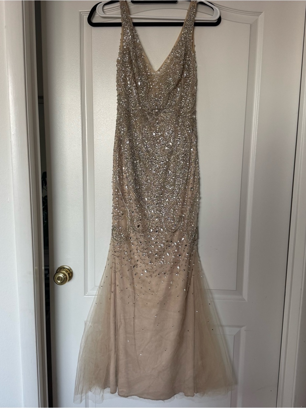 Beaded V-Neck Evening Gown in Champagne